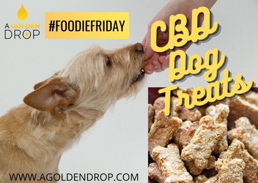 #FoodieFriday: CBD Oil Dog Treat